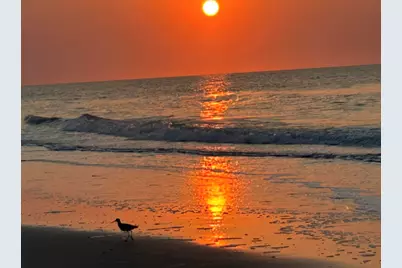 2401 S Ocean Blvd. #1170, Myrtle Beach, SC 29577 - Photo 59