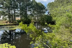 3950 Mayfield Dr, Conway, SC 29526 - Photo 25