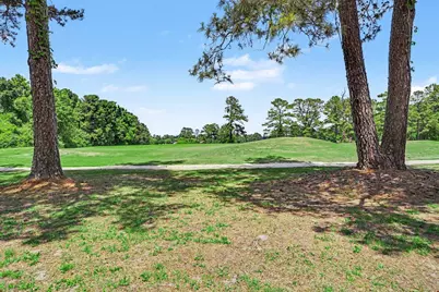 317 Lakeview Dr. #317, Johnsonville, SC 29555 - Photo 37