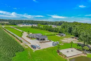 15810 County Line Rd, Andrews, SC 29510 - Photo 3