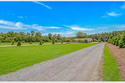 15810 County Line Rd., Andrews, SC 29510 - Photo 35