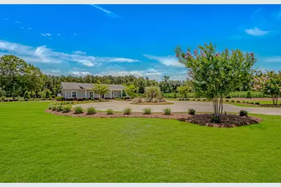 15810 County Line Rd., Andrews, SC 29510 - Photo 3