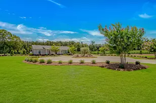 15810 County Line Rd, Andrews, SC 29510 - Photo 3