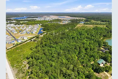 101 Acres Old Highway 90, Conway, SC 29526 - Photo 7