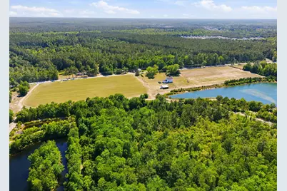 101 Acres Old Highway 90, Conway, SC 29526 - Photo 5