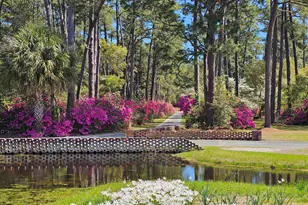 50 Turning Stone Blvd, Murrells Inlet, SC 29576 - Photo 45