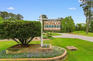 908 Jackline Pl, Murrells Inlet, SC 29576 - Photo 41