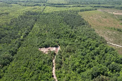 43 Acres - 5432 Juneburn Rd., Manning, SC 29102 - Photo 15