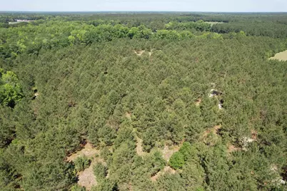 43 Acres - 5432 Juneburn Rd., Manning, SC 29102 - Photo 25