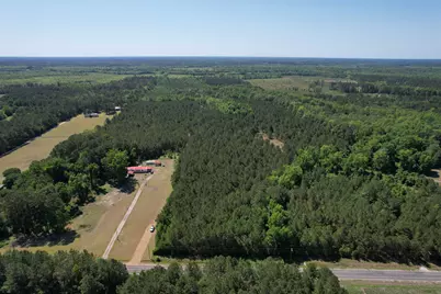 43 Acres - 5432 Juneburn Rd., Manning, SC 29102 - Photo 11