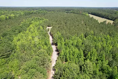 43 Acres - 5432 Juneburn Rd., Manning, SC 29102 - Photo 23