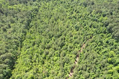 43 Acres - 5432 Juneburn Rd., Manning, SC 29102 - Photo 17