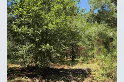 43 Acres - 5432 Juneburn Rd., Manning, SC 29102 - Photo 27