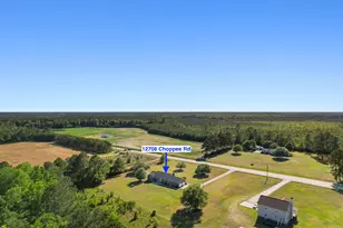 12708 Choppee Rd, Hemingway, SC 29554 - Photo 39