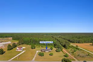 12708 Choppee Rd, Hemingway, SC 29554 - Photo 37