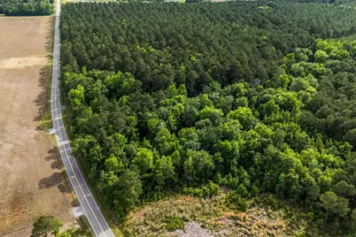 2850 Gause Rd., Loris, SC 29569 - Photo 3