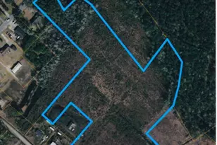 16 94 Acres Hwy 905, Conway, SC 29526 - Photo 1