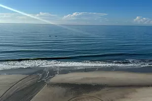 415 South Ocean Blvd, Myrtle Beach, SC 29577 - Photo 53