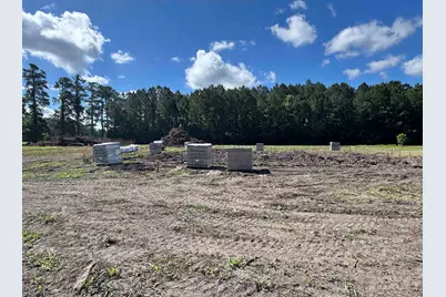 1876 Horry Rd., Conway, SC 29526 - Photo 3