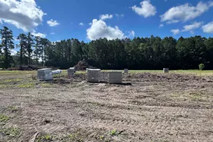 1876 Horry Rd, Aynor, SC 29511 - Photo 3