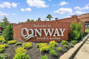 193 Cottage Creek Cir, Conway, SC 29526 - Photo 49