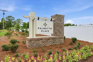 432 Congaree Ln, Longs, SC 29568 - Photo 3