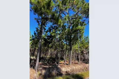 1291 Cockfield Rd., Scranton, SC 29591 - Photo 3
