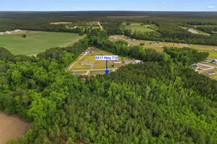 5217 Hwy 712, Galivants Ferry, SC 29544 - Photo 37