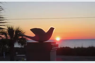 1914 Lark Dr., Surfside Beach, SC 29575 - Photo 51