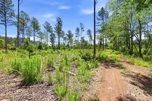 1375 N Old Georgetown Rd, Lake City, SC 29560 - Photo 35