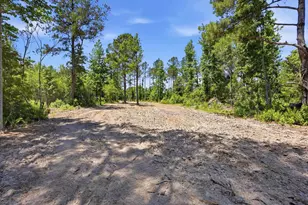 1375 N Old Georgetown Rd, Lake City, SC 29560 - Photo 37