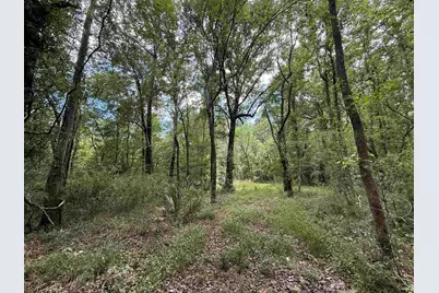 17.8 Acres-5871 Pennyroyal Rd., Georgetown, SC 29440 - Photo 3