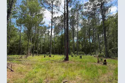 17.8 Acres-5871 Pennyroyal Rd., Georgetown, SC 29440 - Photo 1