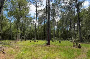 17 8 Acres-5871 Pennyroyal Rd, Georgetown, SC 29440 - Photo 1