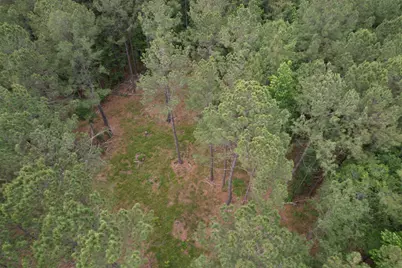 17.8 Acres-5871 Pennyroyal Rd., Georgetown, SC 29440 - Photo 9