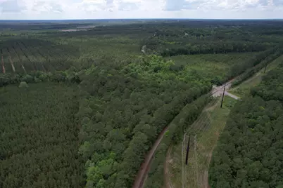 17.8 Acres-5871 Pennyroyal Rd., Georgetown, SC 29440 - Photo 7