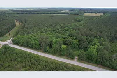 17.8 Acres-5871 Pennyroyal Rd., Georgetown, SC 29440 - Photo 15