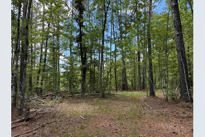 17.8 Acres-5871 Pennyroyal Rd., Georgetown, SC 29440 - Photo 5