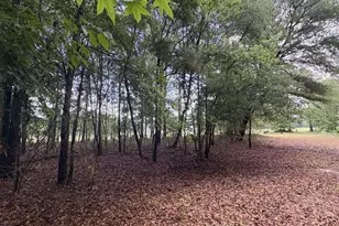 1660 Nathan Dr, Loris, SC 29569 - Photo 47