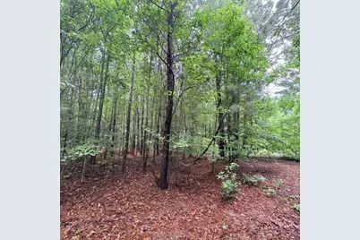 1660 Nathan Dr., Loris, SC 29569 - Photo 49