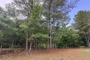 1660 Nathan Dr, Loris, SC 29569 - Photo 45
