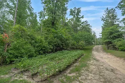 565 Portia Rd, Blythewood, SC 29016 - Photo 47