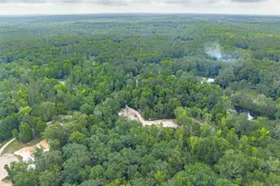 565 Portia Rd, Blythewood, SC 29016 - Photo 65