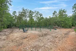 565 Portia Rd, Blythewood, SC 29016 - Photo 51