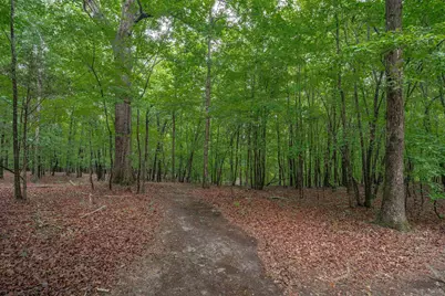 565 Portia Rd, Blythewood, SC 29016 - Photo 57
