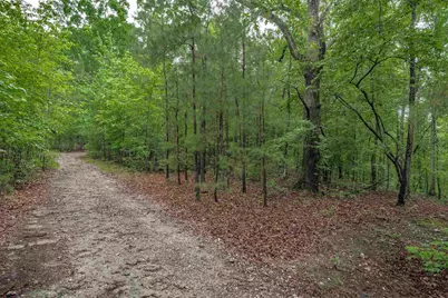 565 Portia Rd, Blythewood, SC 29016 - Photo 55