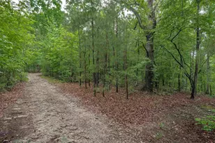 565 Portia Rd, Blythewood, SC 29016 - Photo 55