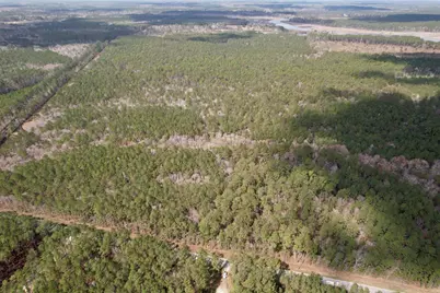 Tract B - Tbd Pennyroyal Rd., Georgetown, SC 29440 - Photo 7