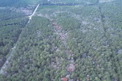 Tract B - Tbd Pennyroyal Rd., Georgetown, SC 29440 - Photo 11