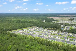165 Tomoka Trail, Longs, SC 29568 - Photo 49